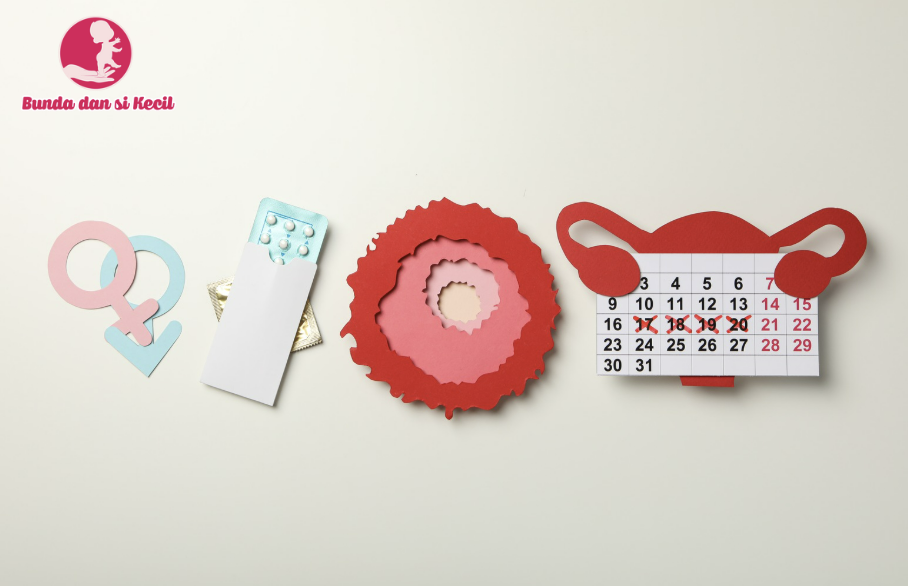 Panduan Lengkap: Cara Menghitung dan Mengenali Ciri-Ciri Ovulasi untuk Program Hamil